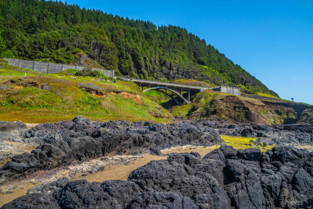 istock Beautiful Day Along the Coastline in Oregon 1165174171