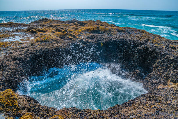 istock Beautiful Day Along the Coastline in Oregon 1165174357