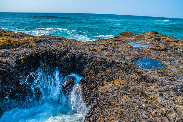 istock Beautiful Day Along the Coastline in Oregon 1165174358