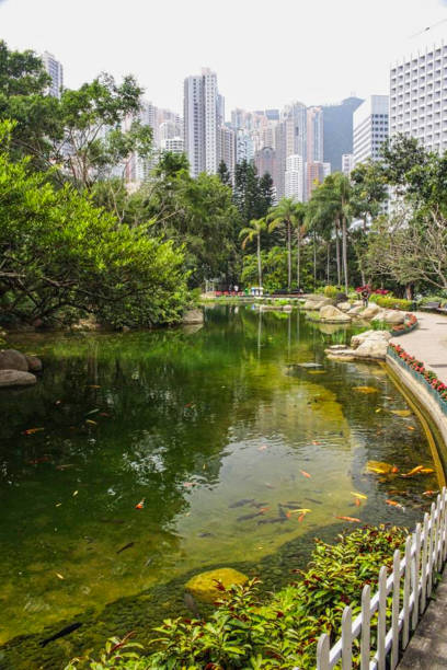 istock view to pond in the city 1165180001