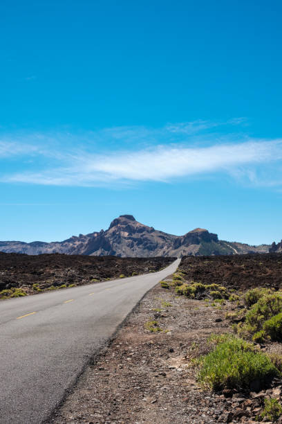 istock Road in the Teide National Park 1165180119