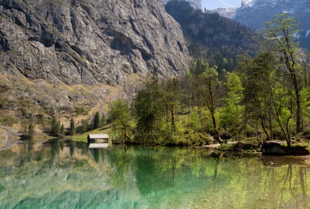 베르히테스가덴 인근의 오베르호수 - alm bavaria mountain summer 뉴스 사진 이미지