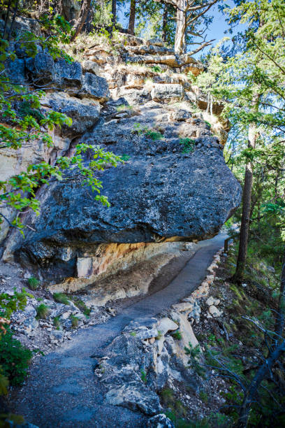 米国アリゾナ州ウォルナットキャニオン国立記念碑の崖住居遺跡 - walnut canyon ruins ストックフォトと画像