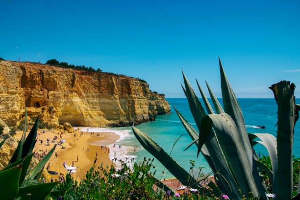 istock Beautiful beach in Algarve 1165182879