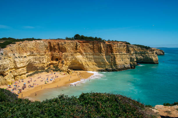 Beach and vegetation in Algarve Portugal