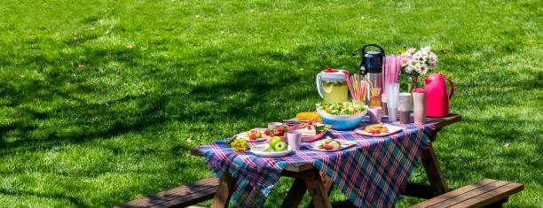 tenda e cibi pronti da mangiare sul tavolo da picnic in natura - portion turkey sandwich close up foto e immagini stock