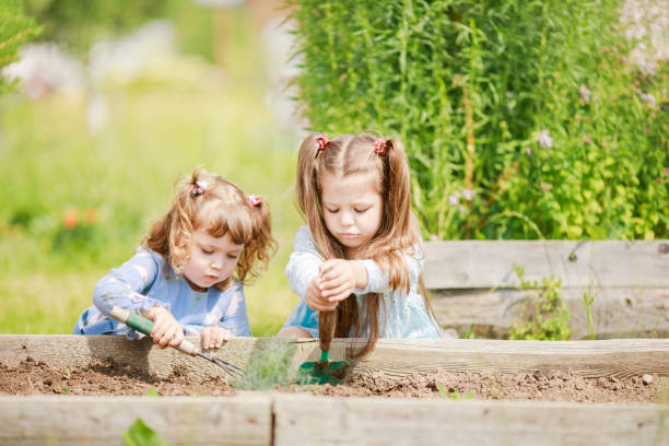 istock Two little sisters working in the garden together 1165187040