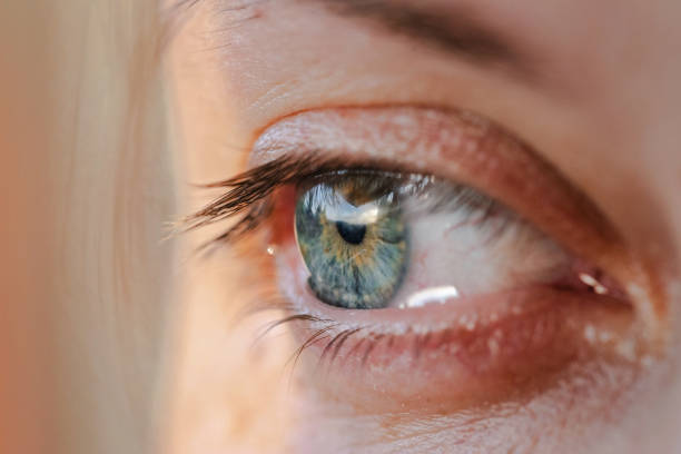 крупным планом голубой женский глаз - reflection women human eye macro стоковые фото и изображения