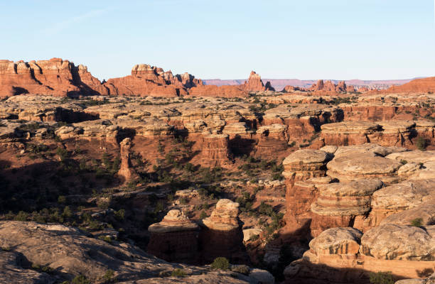 istock Canyonlands National Park Needles District Utah 1165187244