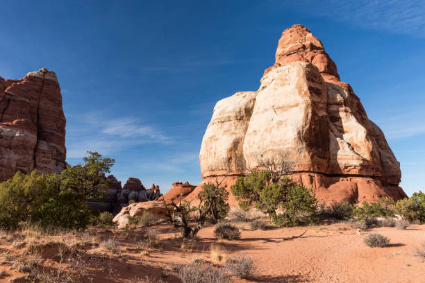 istock Canyonlands National Park Needles District Utah 1165187284