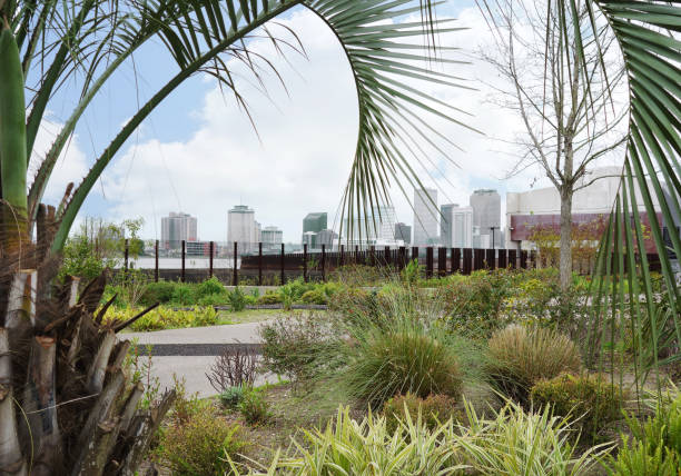 istock New Orleans skyline view from Crescent Park 1165188680
