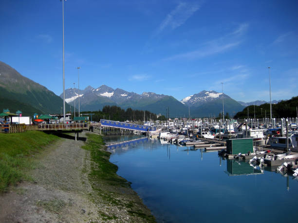 istock Boat Harbor at Valdez 1165191194