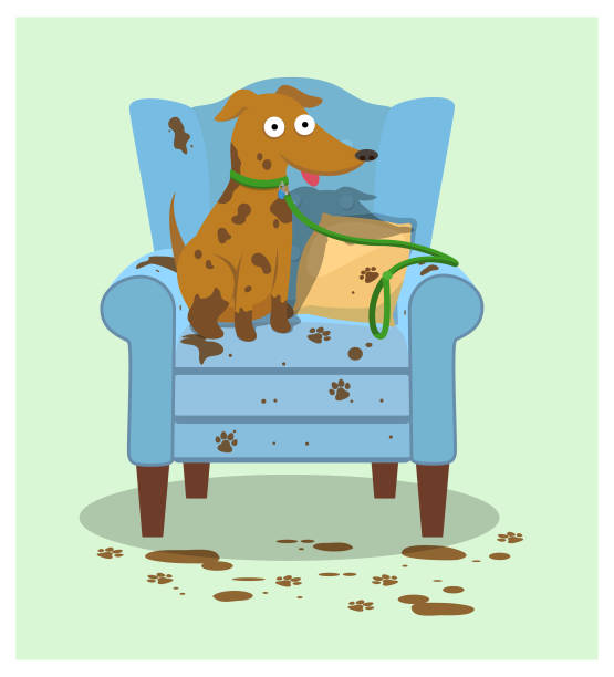 개 의자 - dog leash pets playing stock illustrations