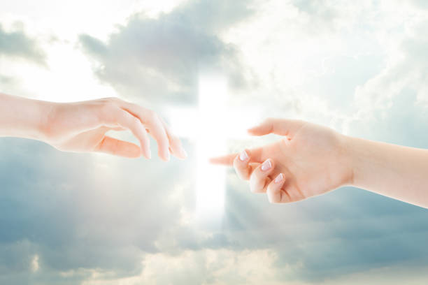 istock Hands isolated on white. Helping, giving and taking hand 1165193861