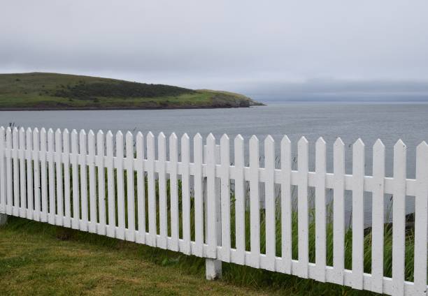 recinzione picchetto di legno bianco lungo il litorale oceani - picket fence grass gardens nature foto e immagini stock