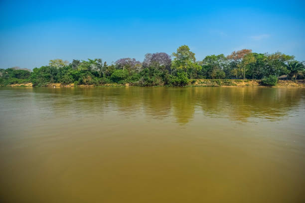 istock landscape of river and jungle 1165195348