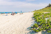 familie-und-freunde-an-einem-malerischen-tropischen-strand.jpg?b=1&s=170x170&k=20&c=ZG88zXzUobuFuURVIUTy1oHMcTuCLq-_0IyljHcWS60=