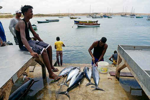 Palmeira, Sal, Cape Verde - Cape Verde, Africa - August 22, 2018. Palmeira fishing village, Sal, Cabo Verde - Cape Verde.