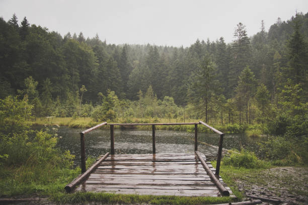 istock wooden pier on lake 1165206454