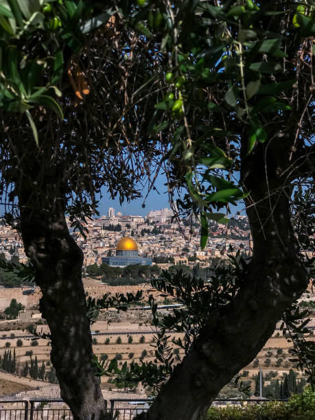 istock Mount of Olives, Jerusalem, Israel 1165210694