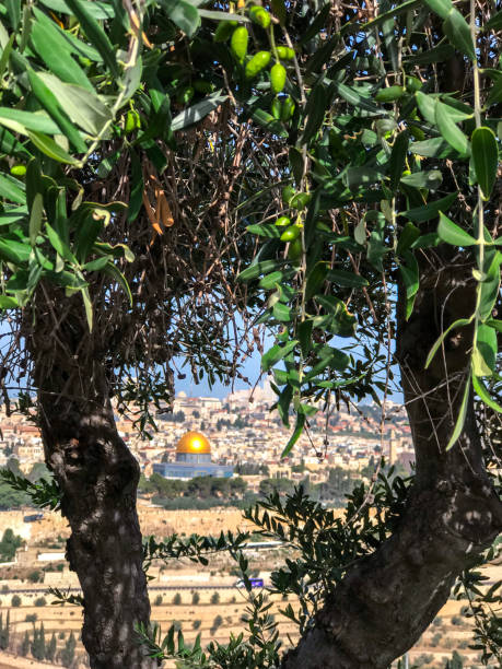 istock Mount of Olives, Jerusalem, Israel 1165210695