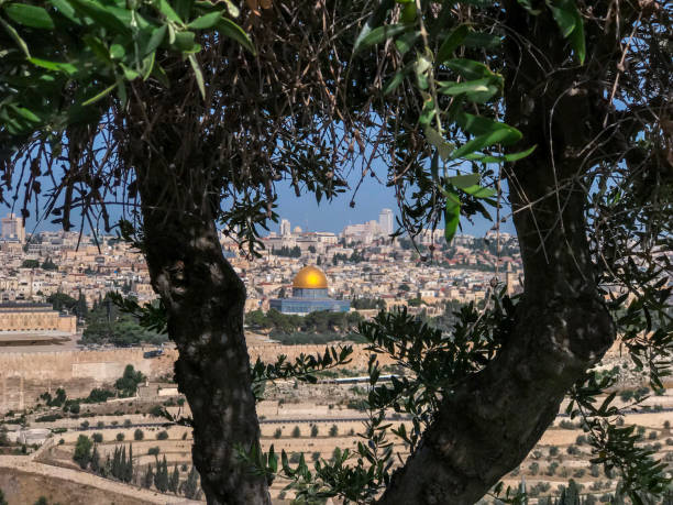 istock Mount of Olives, Jerusalem, Israel 1165210696