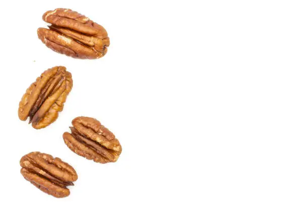 Group of four whole fresh brown pecan nut half copyspace on right flatlay isolated on white background