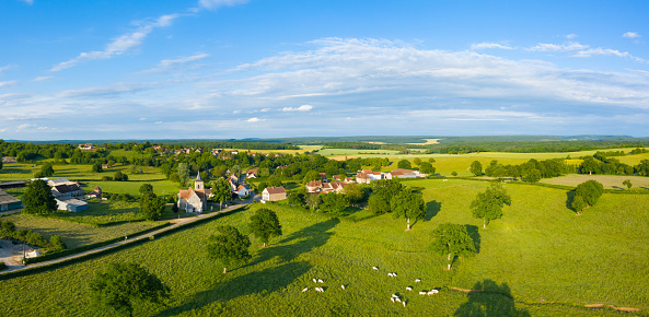 This photo was taken in France, in Burgundy, in the Nièvre, in Cuncy-lès-Varzy. You can see the traditional French village with its church and cows in the foreground. This village is surrounded by fields of wheat, barley and rapeseed as well as traditional forests.