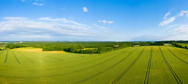 This photo was taken in France, in Burgundy, in the Nièvre, near Varzy. We see the French countryside grown with wheat, rapeseed and barley. In the background, we see a typical forest of the region.