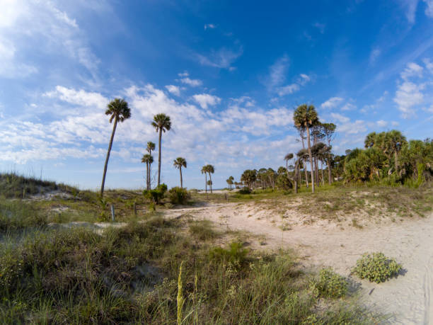 istock Beach scenes at hunting island south carolina 1165217608