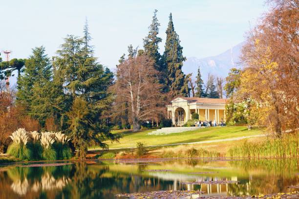 Landscape of Concha y Toro winery in Santiago de Chile Beautiful landscape of Concha y Toro winery, famous tourist spot of Santiago. The lake reflects the mansion and the surrounding trees. conch shell photos stock pictures, royalty-free photos & images