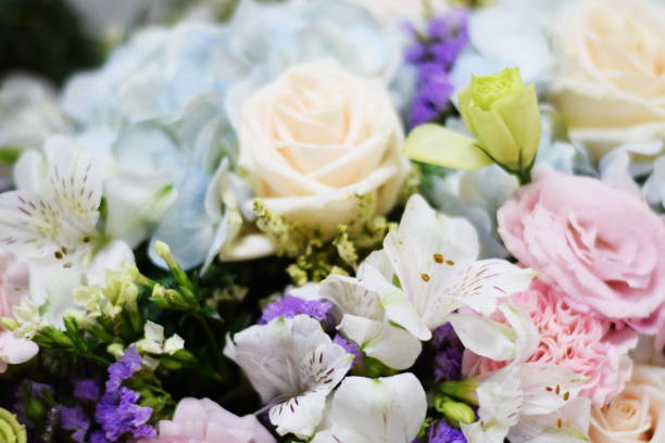 istock Close up beautiful Pink  rose flower bouquet 1165231375