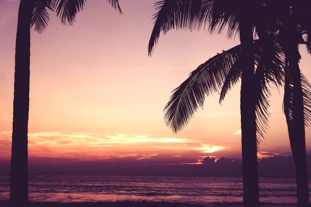 istock Tropical nature clean beach and white sand in summer with palm tree leaf sun light blue sky and bokeh abstract  background. 1165232073