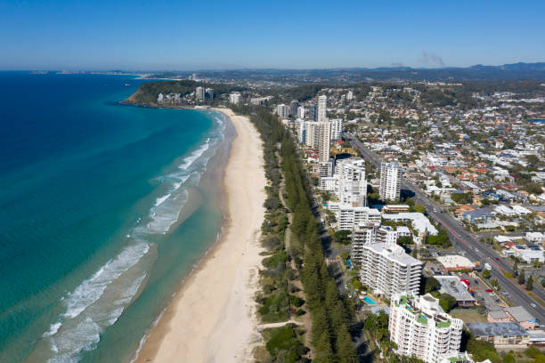 istock Palm beach at Burleigh Heads. 1165234852