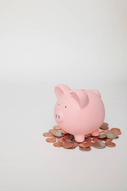 Piggy bank on coins stock photo