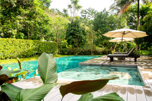 istock Outdoor swimming pool in a garden 1165239749