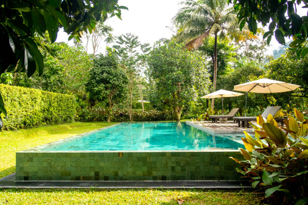 istock Outdoor swimming pool in a garden 1165239754