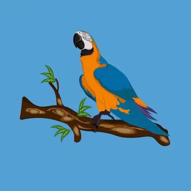 Vector illustration of Bird Blue-and-yellow macaw standing on branches vector illustration isolate blue background.