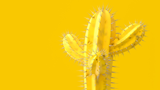 Yellow minimal idea concept. Cactus yellow color for background, 3d render.