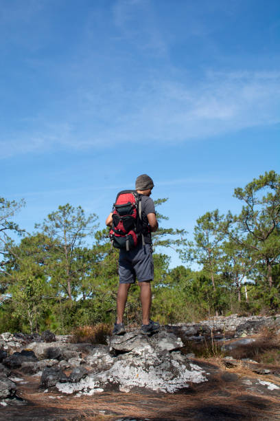 istock Man with backpack standing on cliff, looking at forest with blue sky background 1165241662