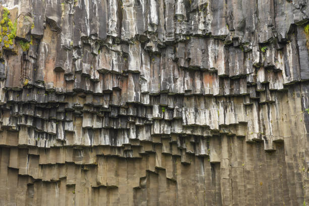 basalt rotswand van svartifoss waterval, ijsland - skaftafell national park stockfoto's en -beelden