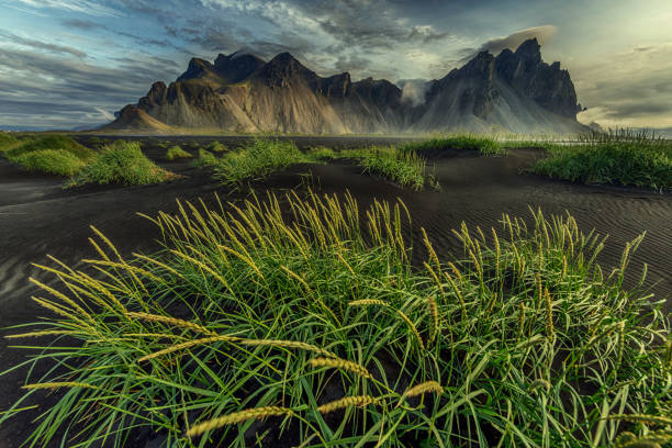 istock Sunrise on Vestrahorn Mountain, Iceland 1165242598