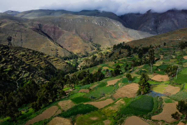 istock Andenes or platforms for agriculture in Peru 1165244328
