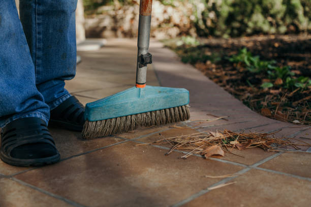 istock Brush sweeps fallen needles of pine 1165251408