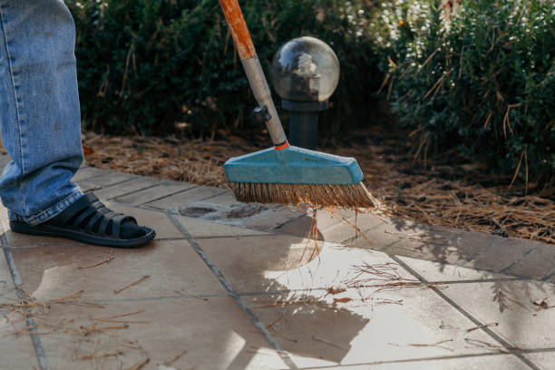istock Wide brush sweeps  alley in backlight 1165251420