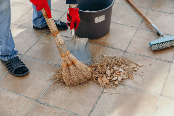 istock Hands gather fallen pine needles with  broom and dustpan 1165251447