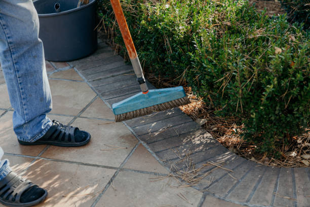 istock Brush sweeps fallen needles of pine 1165252344