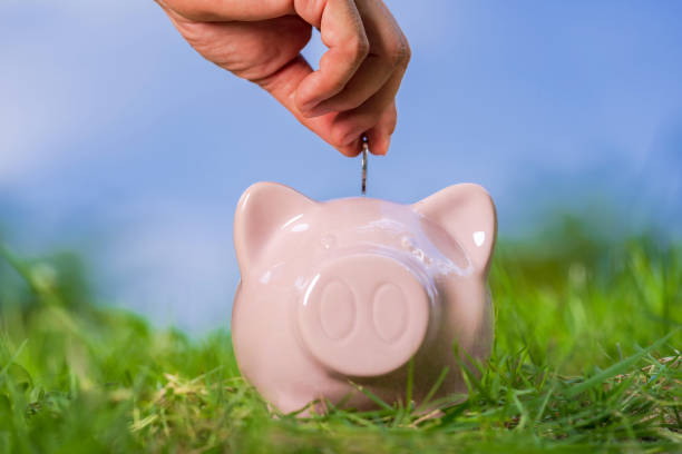 istock Pink piggy bank on grass 1165253292