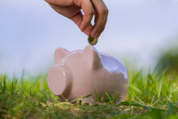 istock Pink piggy bank on grass 1165253294