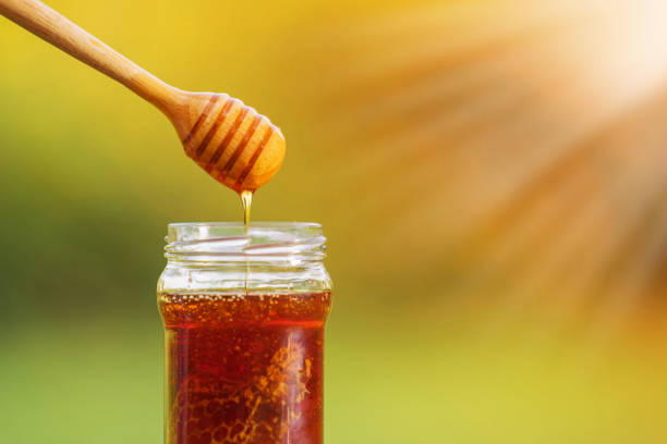 istock Honey dripping from honey dipper 1165253369